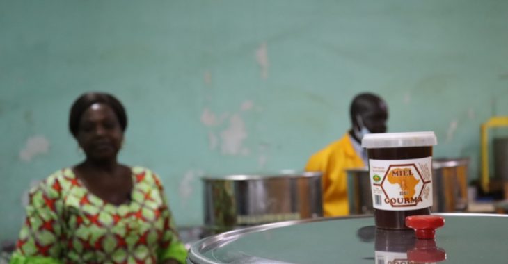 Fada N'Gourma: la production de miel tourne au ralenti