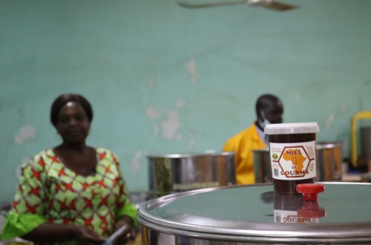 Fada N'Gourma: la production de miel tourne au ralenti
