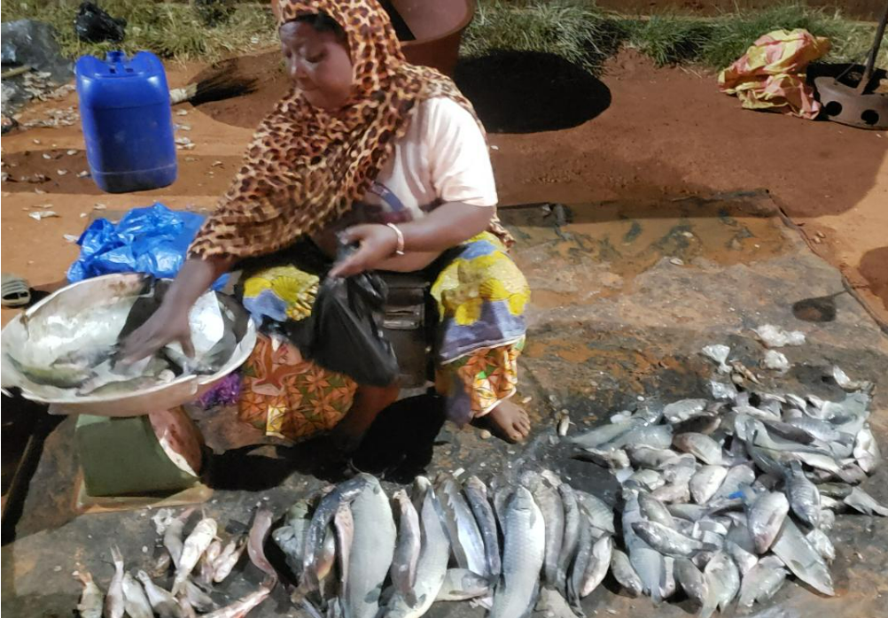 Poissons frais : Du barrage à l’assiette, le business des femmes de Bobo-Dioulasso 