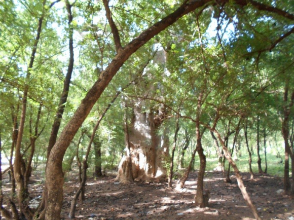 Koudougou et ses innombrables lieux sacrés