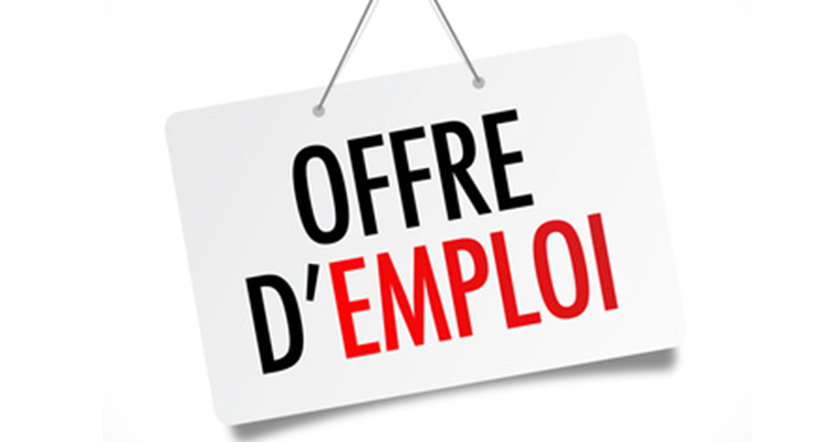 Offre d’emploi:  1 Assistant (e) support (position nationale)