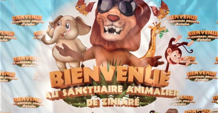 Ziniaré : la nouvelle vie des animaux du parc animalier