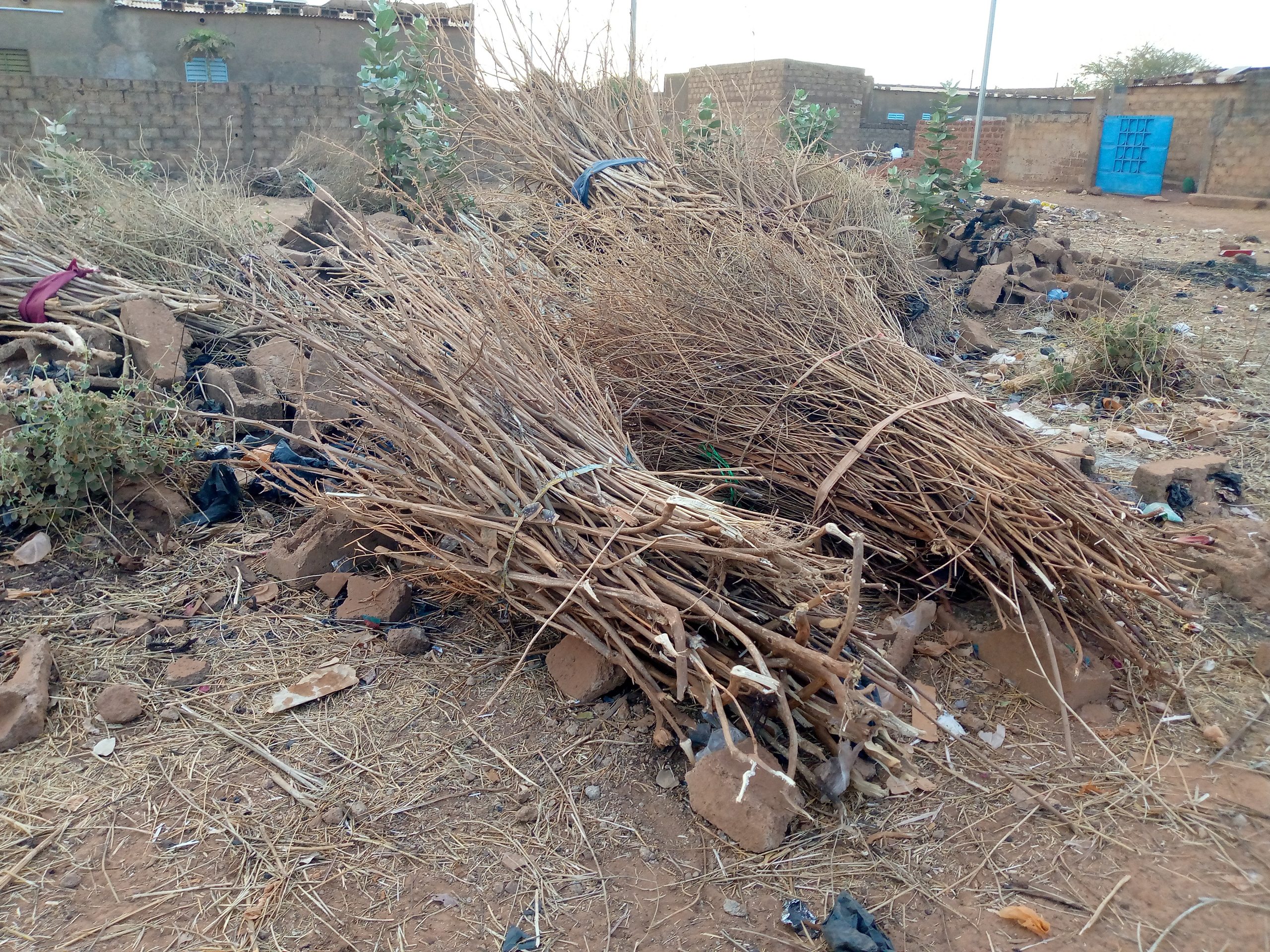 Ouahigouya : les déplacés internes manquent de bois de chauffe