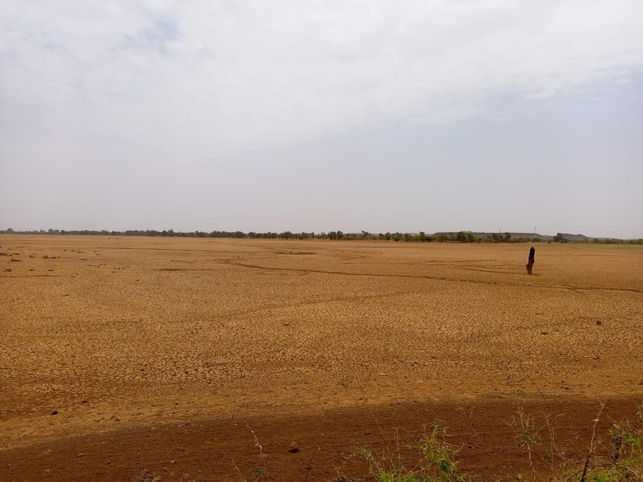 Rareté de l’eau au Burkina Faso, Mali et Niger