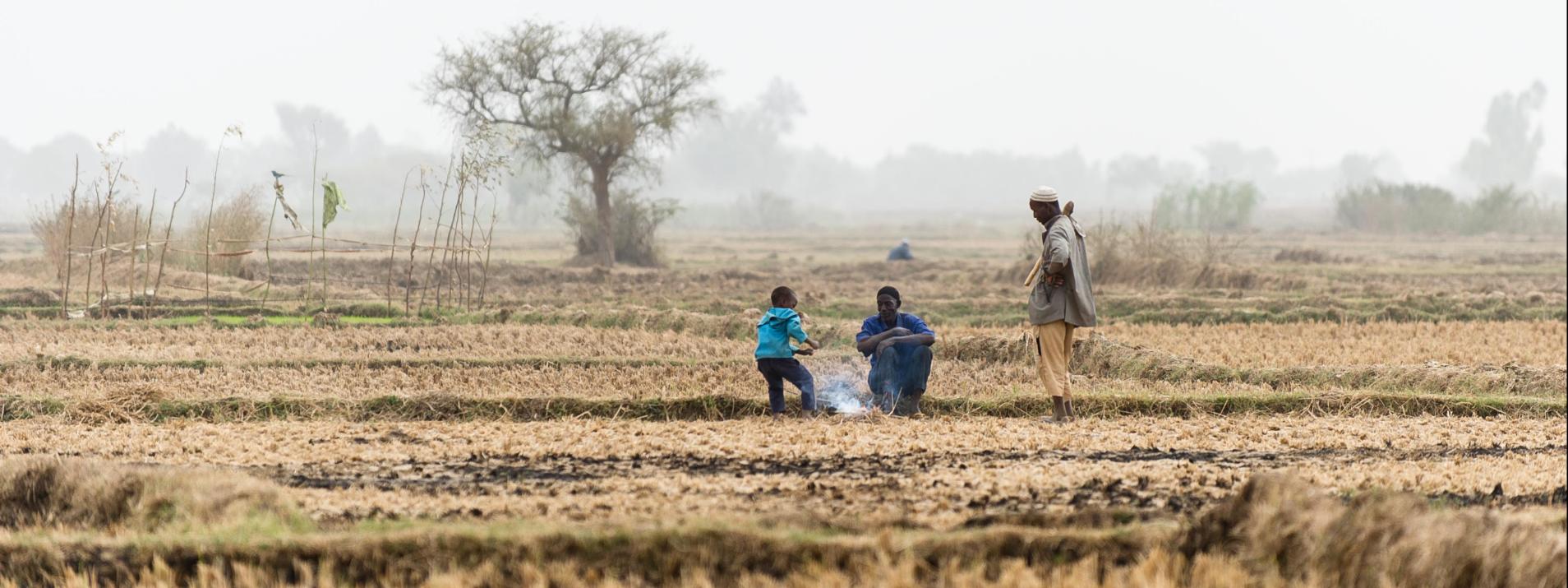 A Dédoudou, les producteurs sont prêts pour les premiers semis