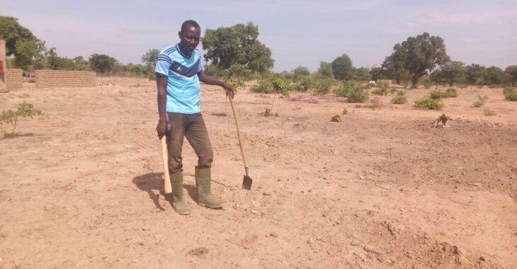 Dans le champ de Charles Sourwéma, producteur modèle à Saponé