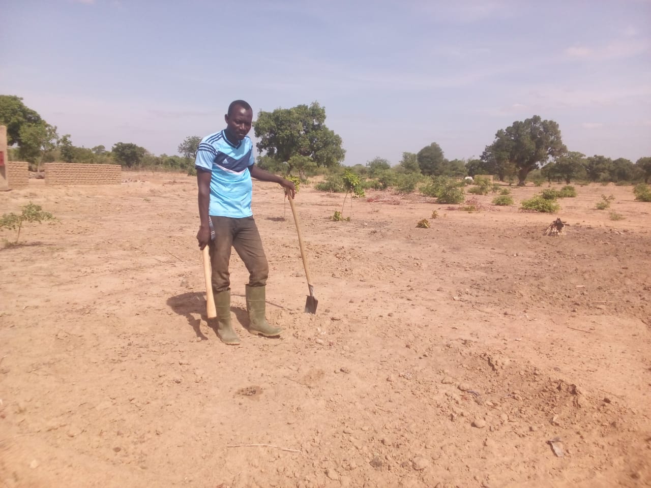 Dans le champ de Charles Sourwéma, producteur modèle à Saponé