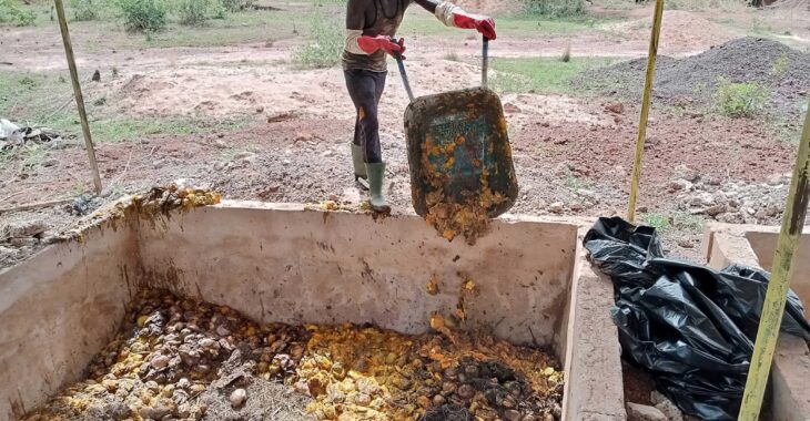 A Orodara, les paysans transforment les résidus de mangue en compost