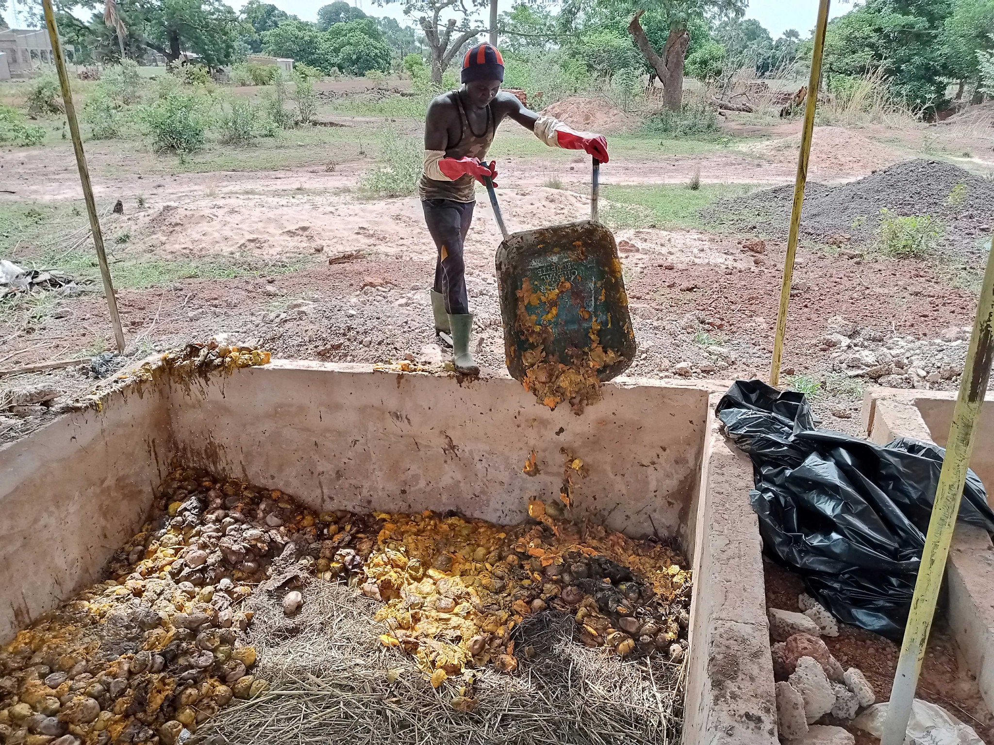 A Orodara, les paysans transforment les résidus de mangue en compost