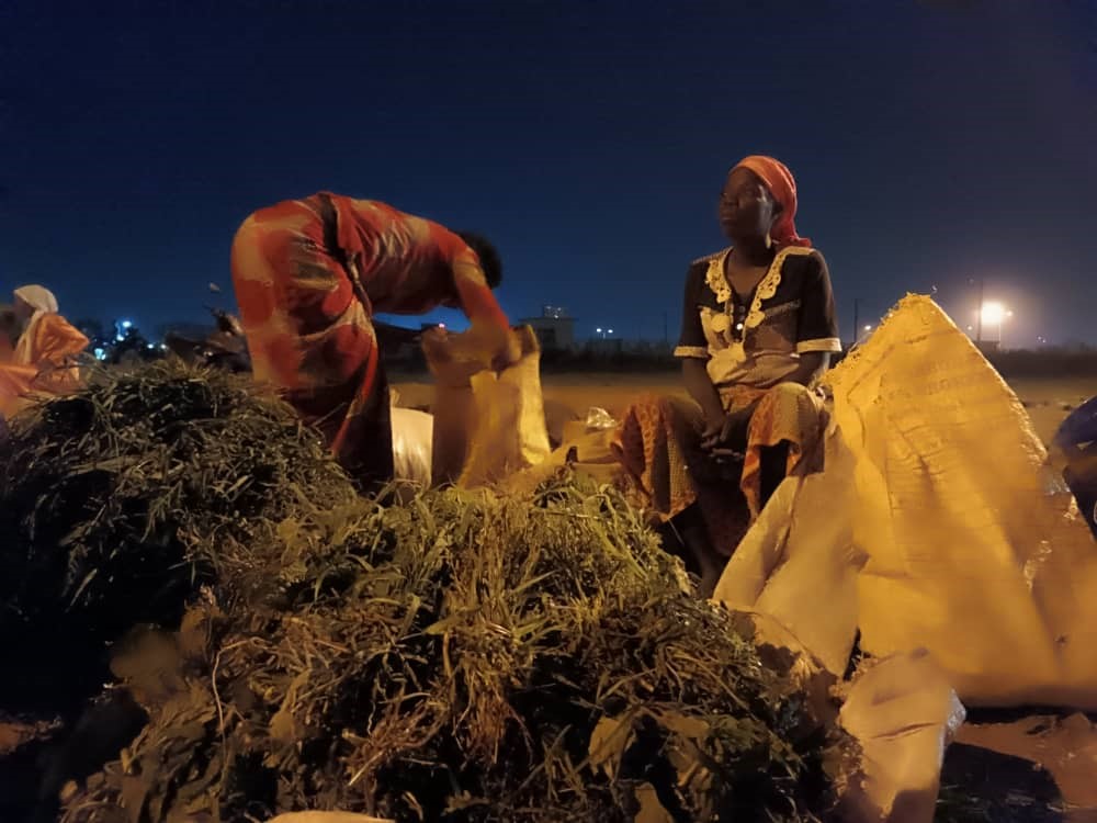Aliment pour bétail : à Ouaga, un marché nocturne animé par des femmes 3