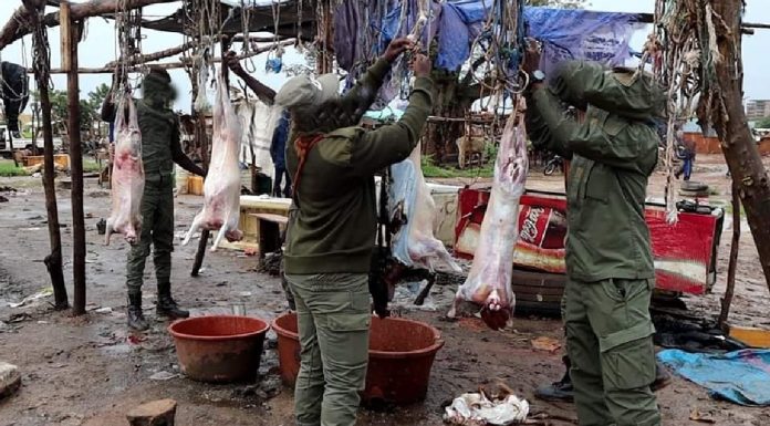 Ouagadougou : un site d’abattage clandestin démantelé par la police