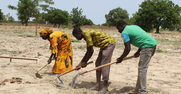Burkina Faso : l’agroécologie, alliée face aux changements climatiques