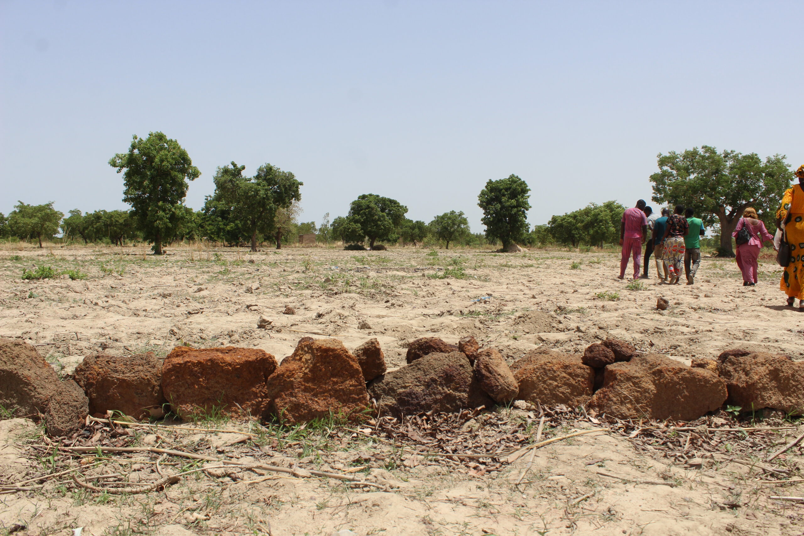 L’agroécologie, une réponse au changement climatique au Burkina Faso