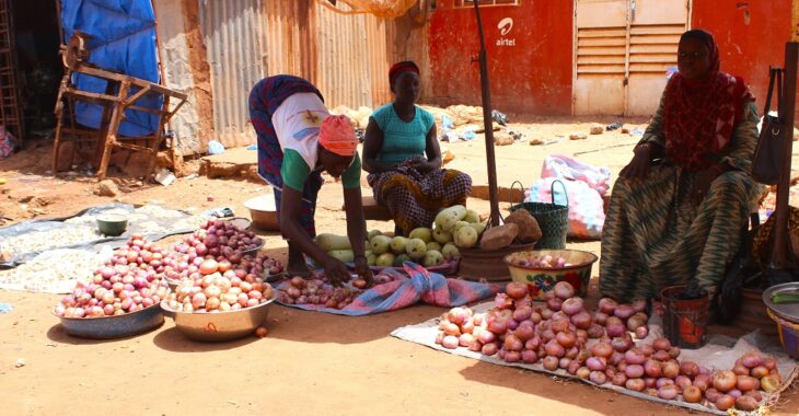 Burkina Faso : les joies et les peines des producteurs d’oignons