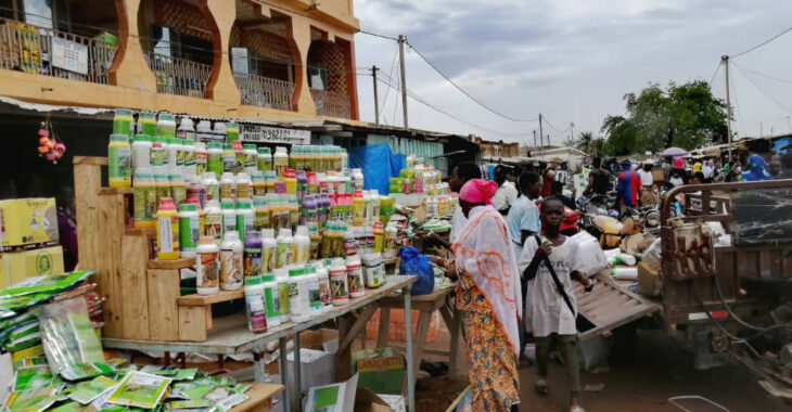 Burkina Faso: le trafic de pesticides non homologués menace la santé et l’environnement