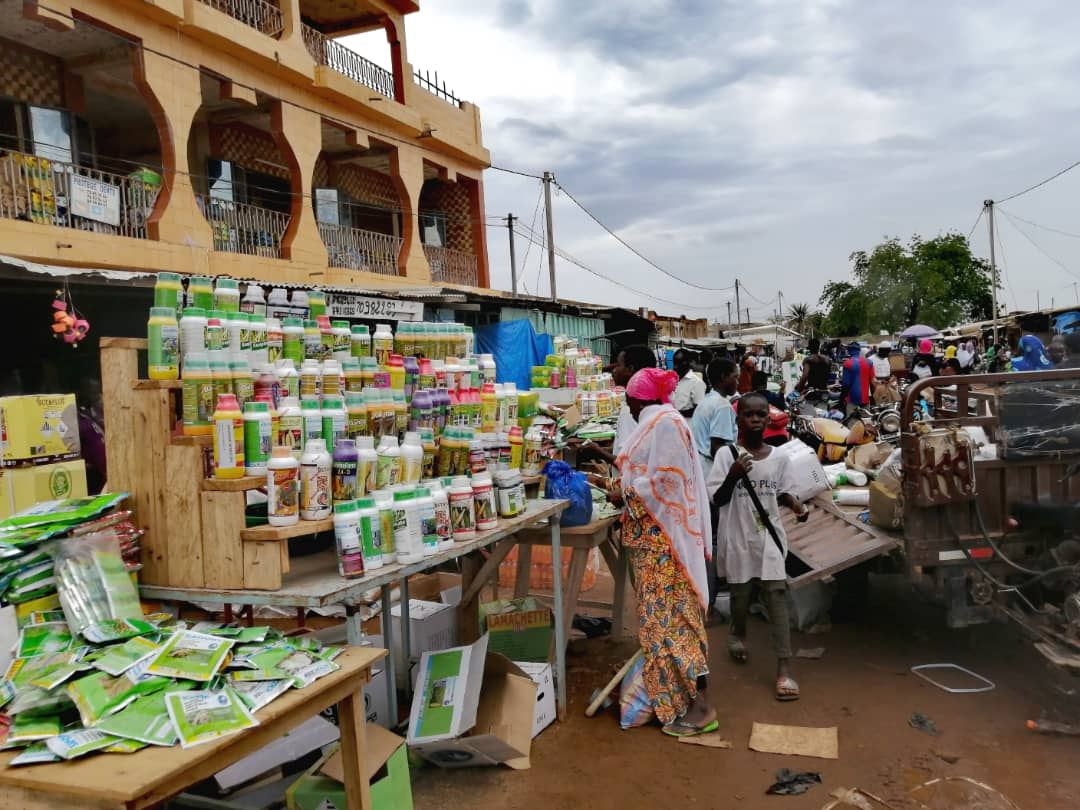 Burkina Faso: le trafic de pesticides non homologués menace la santé et l’environnement