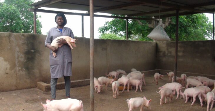 Habibou Sawadogo, de l'infirmerie à la porcherie