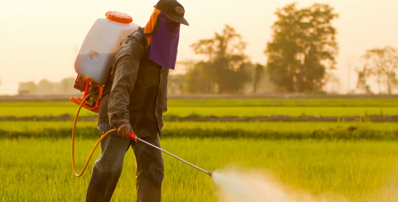 Les pesticides, un danger pour la santé et l’environnement