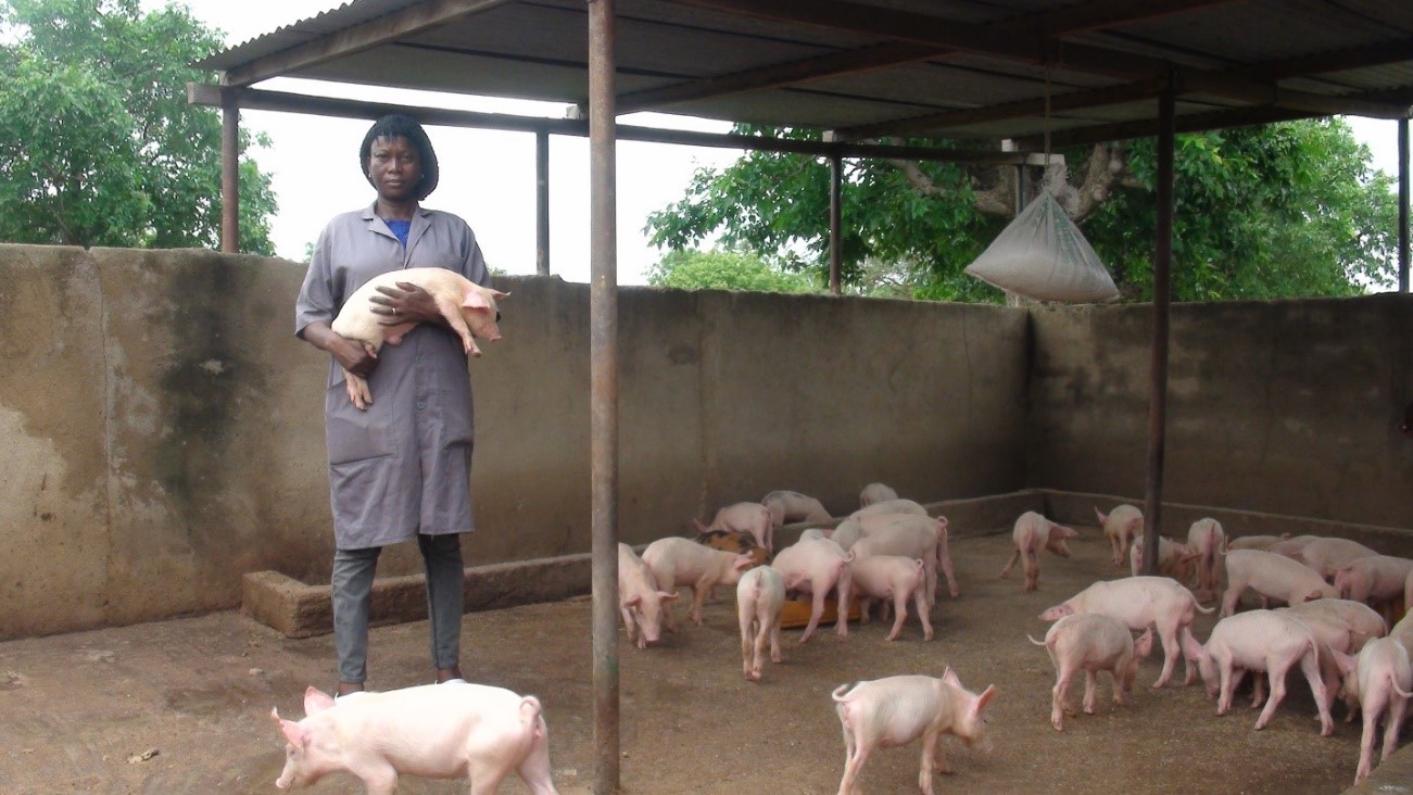 Habibou Sawadogo, celle qui a tout parié sur sa porcherie