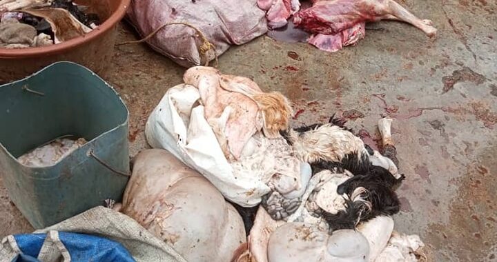 Burkina: La police municipale saisit des carcasses d'animaux clandestinement abattus
