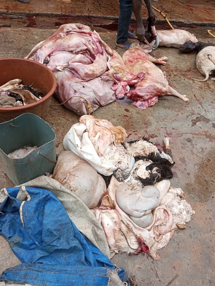 Burkina: La police municipale saisit des carcasses d’animaux clandestinement abattus