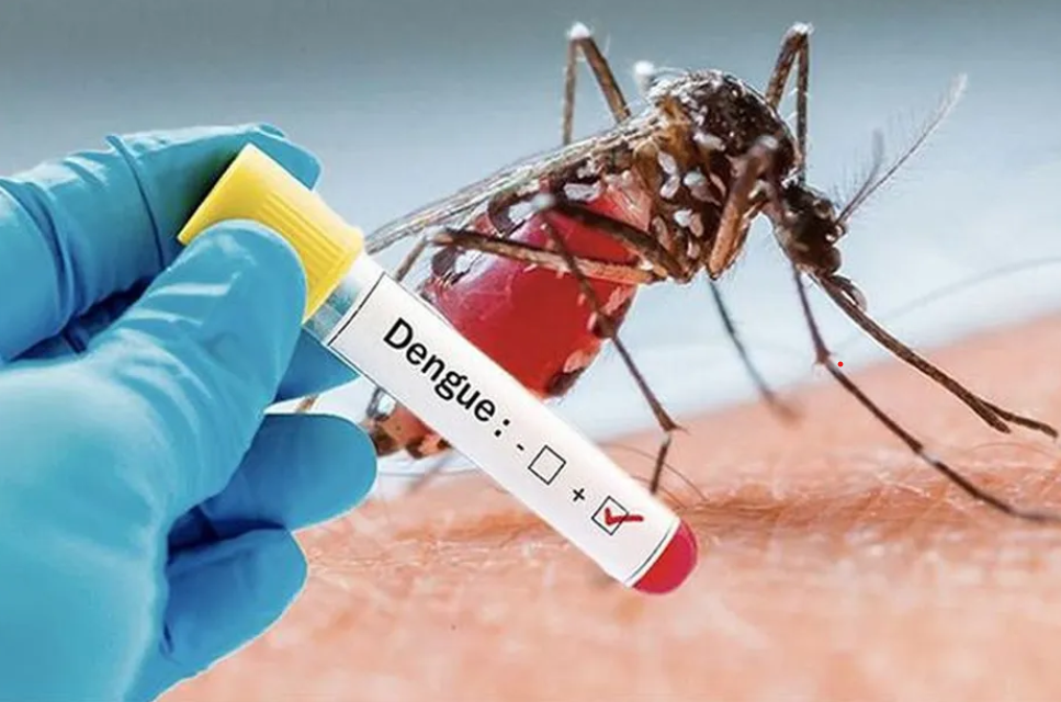 Dengue au Burkina : les tests de diagnostic sont maintenant gratuits