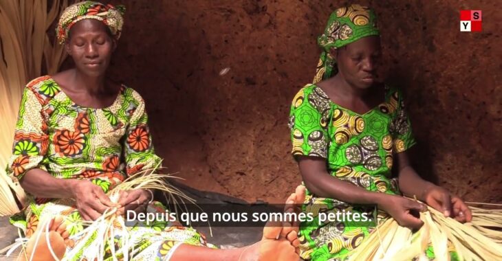 Tchokona (Cascades) : de l’autonomie financière au bout des feuilles de rôniers