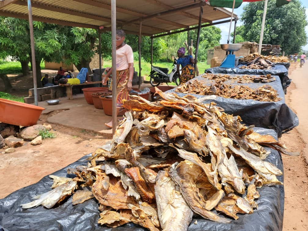 Adja Sanou, la reine du poisson d’eau douce à Bama