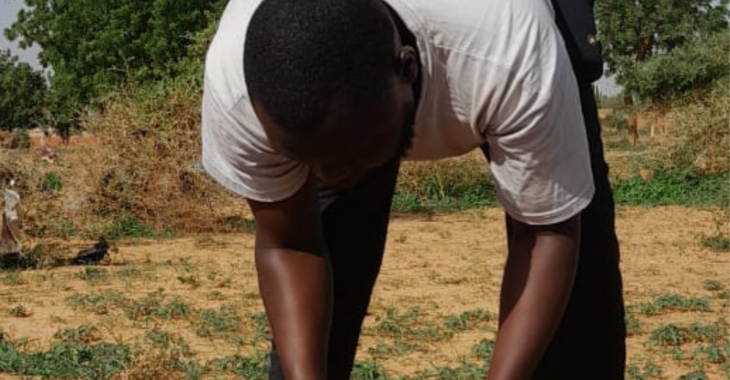 Des étudiants cultivateurs à la cité universitaire de Kossodo