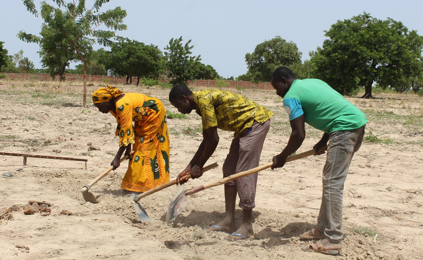 Changement climatique: les pistes pour agriculture durable