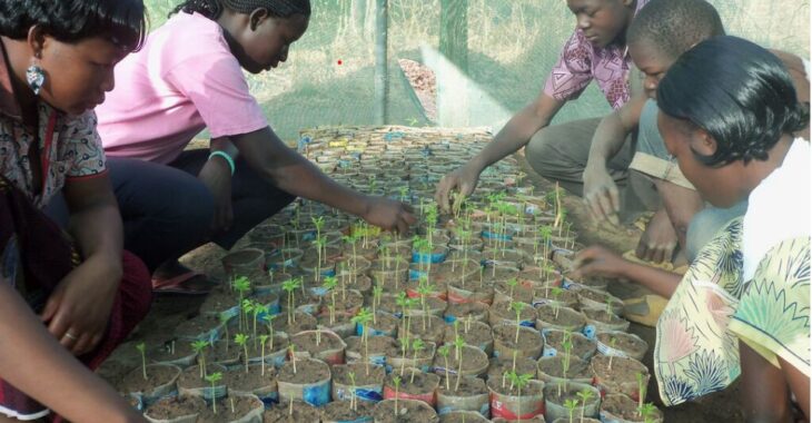 Guiè, plateau central : des initiatives pour ramener les jeunes à la terre