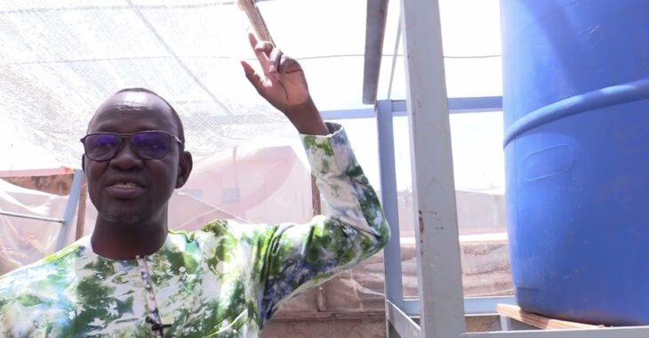 L'aquaponie expérimenté dans la cour Oumarou Ki
