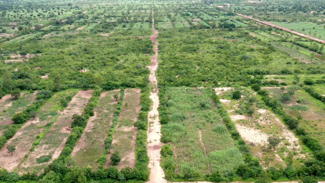 Fertilisant naturel : le bocage sahélien, un gain pour l’homme et la nature