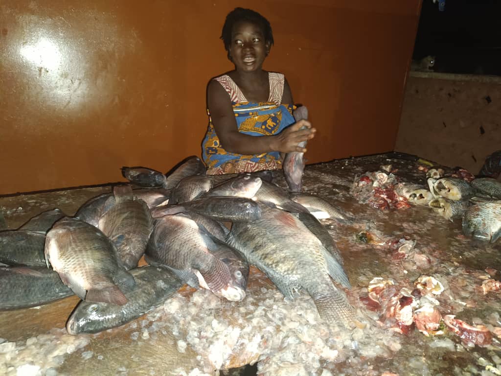 Burkina : profession,  »écailleuses » de poissons