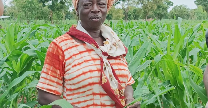 Burkina: Ces retraités qui évitent le piège de la sédentarité!