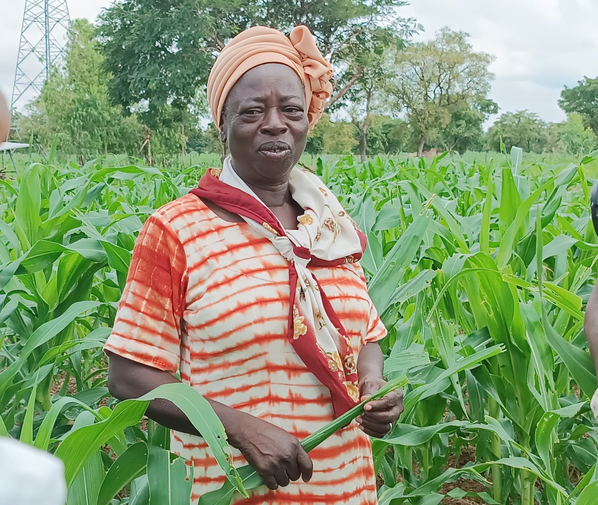 Burkina: Ces retraités qui évitent le piège de la sédentarité!