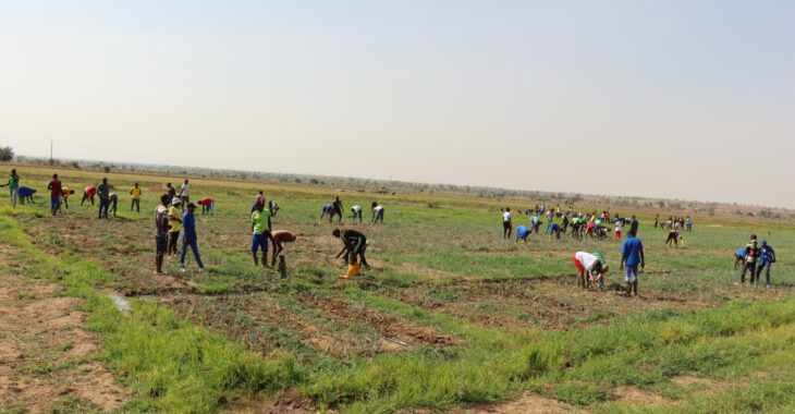 🎧A Bagré, la révolution agricole du centre de formation de l'IFODER