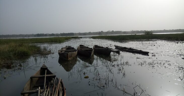 Biodiversité : des enjeux capitaux pour le Burkina Faso