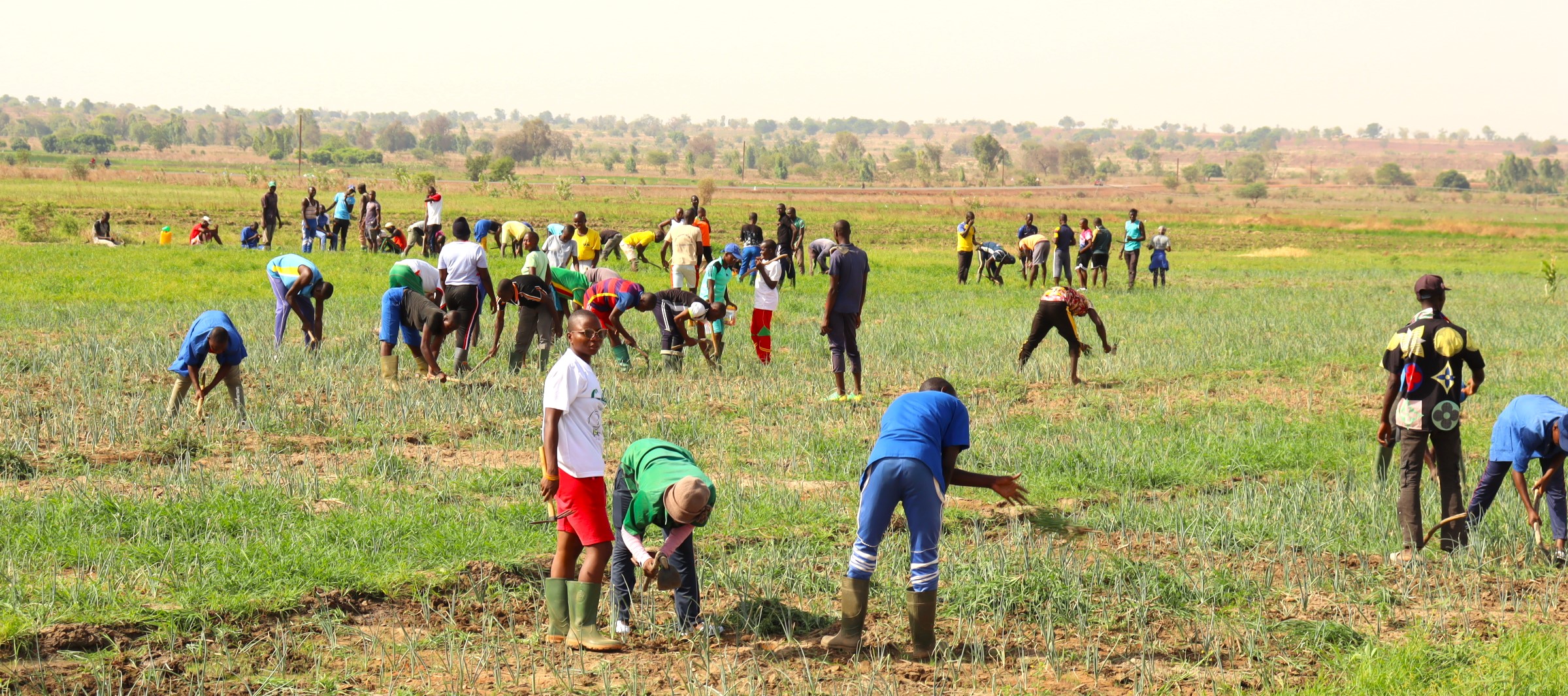 Burkina: A Bagré, des jeunes tracent les sillons du développement rural