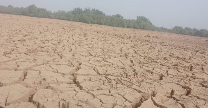 🎧Le cri d'alarme de leaders de Koudougou pour la réhabilitation des barrages asséchés