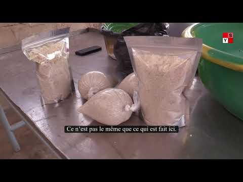 L’attiéké made in Bagré, avec Sibidou Zongo