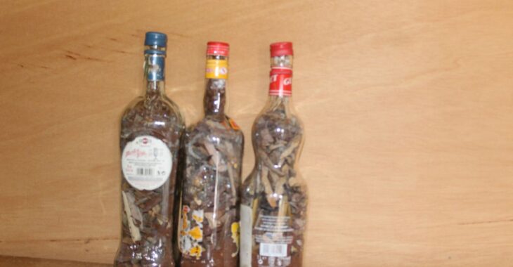 Quand la quête du plaisir devient un danger