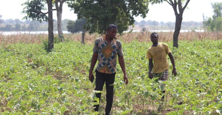 A Pâ, Samuel Nabié, étudiant en philosophie devenu maraîcher