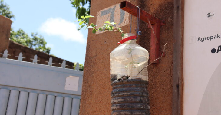 Burkina : A Koudougou, Agropak développe une chaîne de valeur autour du bio