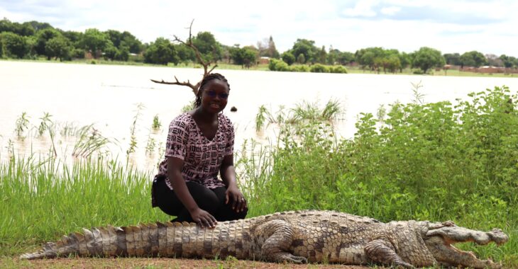 Voyage dans l'histoire sur le dos des crocodiles sacrés de Sabou au Burkina