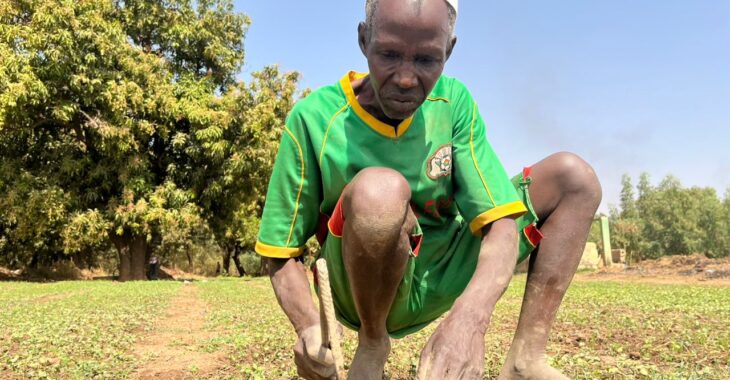 Ces papys qui refusent la retraite