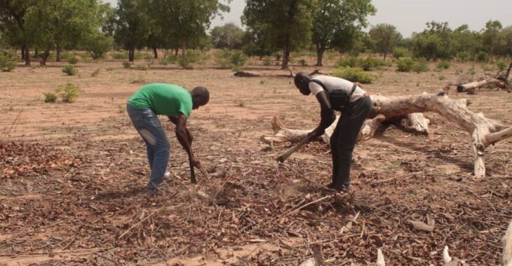 Dans la commune de Toroba, les paysans misent sur une bonne saison agricole