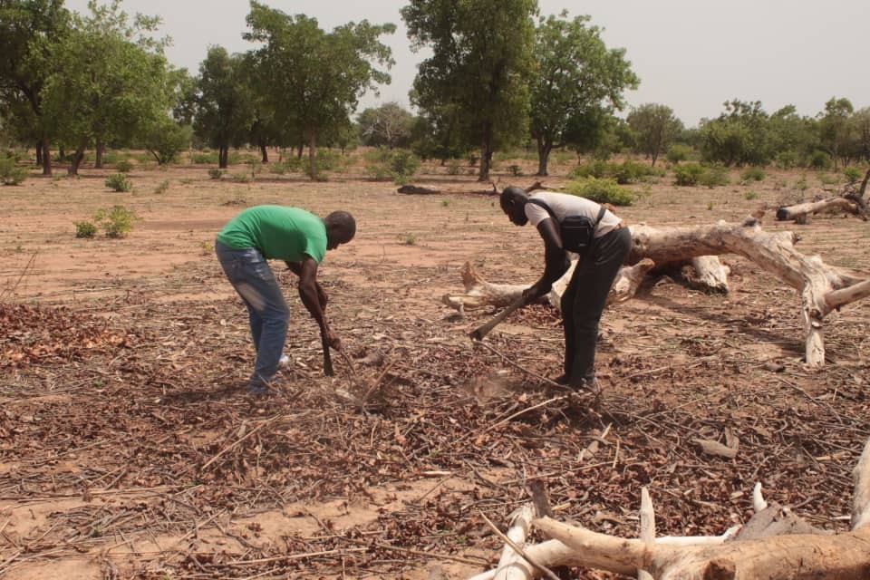 Dans la commune de Toroba, les paysans misent sur une bonne saison agricole