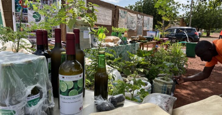 A Koudougou, le bio se fait une place avec le marché « bio ménagère heureuse »