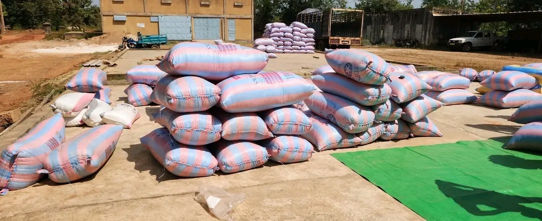 La SONAGESS mise sur les excédents céréaliers des Tannounyan pour renforcer les stocks nationaux